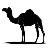 ai genererad silhuett kamel full kropp svart Färg endast vektor