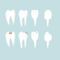 Gebiss im flachen Stil, gesunde Zähne und verfallene Zähne, Zahnheilkunde und Zahngesundheit, Vektorillustration vektor