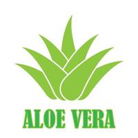 Aloe-Vera-Symbol-Logo-Vektor-Design-Vorlage vektor