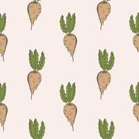 socker beta sömlös mönster hand dragen vektor illustration upprepa bakgrund med ljuv rot växter graverat grönsaker för skriva ut, kort, design, textil. lantbruk, mat, rödbeta skörd