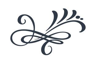 Hand gezeichnete Grenze Flourish Separator Kalligraphiedesignerelemente. Vektorweinlesehochzeitsillustration lokalisiert auf weißem Hintergrund vektor