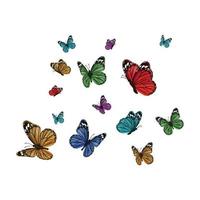 flygande fjärilar färgrik fjäril isolerad transparent bakgrund