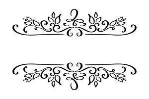 Handritad gränsblom separator Kalligrafi designelement vektor