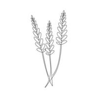 Vektor kontinuierlich Linie Kunst Zeichnung von organisch gesund Essen Weizen Korn zum Bauernhof Logo Identität