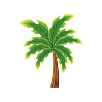 palm tropiska vektor