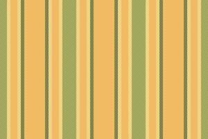 textil- bakgrund tyg av rader textur vertikal med en mönster rand vektor sömlös.