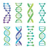 färgrik dna ikoner. spiral molekyl strukturera för vetenskaplig forskning. mänsklig genetisk koda med information vektor