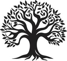 ewig Wachstum Baum Vektor Symbol Wald Harmonie Baum Symbol Symbol