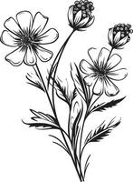 snöig kronblad skiss elegant vektor mark kyla blomma översikt svartvit emblem