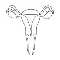 kontinuerlig enda ett linje teckning livmoder och äggstockar, organ av kvinna reproduktiv systemet och kvinnors dag vektor konst illustration