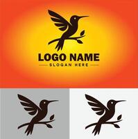 Kolibri Logo Vektor Kunst Symbol Grafik zum Unternehmen Marke Geschäft Symbol Kolibri Logo Vorlage