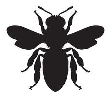 schwarz und Weiß Vektor Illustration von afrikanisiert Honig Biene.