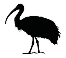 afrikanisch heilig ibis Silhouette Lager Vektor Illustration.