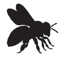 afrikanisiert Honig Biene Silhouette Symbol. Vektor Bild.