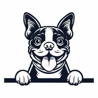 ai generiert Boston Terrier Hund spähen isoliert Illustration Profi Vektor