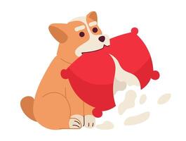 söt hund tugga kudde tecknad serie platt illustration. stygg valp förstöra soffa prydnadskudde 2d karaktär isolerat på vit bakgrund. Lycklig olycka sällskapsdjur corgi vovve röra scen vektor Färg bild