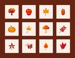 Icons Set von Herbstblättern vektor