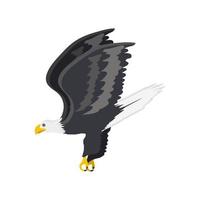 fliegender Weißkopfseeadler vektor