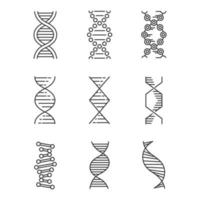 DNA-Spiralen lineare Symbole gesetzt. Desoxyribonukleinsäure, Nukleinsäurehelix. Molekularbiologie. genetischer Code. Genetik. dünne Linienkontursymbole. isolierte Vektor-Umriss-Illustrationen. bearbeitbarer Strich vektor