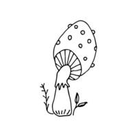 Pilze von Tierwelt, Spore Organismus. Pilzkunde. Pilz Pilz. Pflanze. mystisch Pilze. Gekritzel. Hand gezeichnet. Vektor Illustration. Umriss.