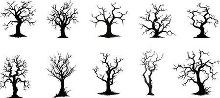 uppsättning av halloween träd . död- gren från .halloween träd förbi hand ritning.svart växt på vit bakgrund vektor