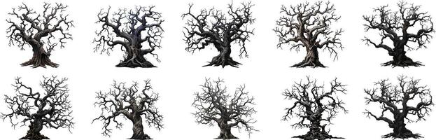 Sammlung von Bäume. Konzept Karikatur Baum im anders. Halloween Elemente Satz. Clip Art Illustration isoliert auf Weiß Hintergrund. vektor