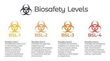 biosäkerhet nivåer bsl vektor illustration infographic eller laboratorium säkerhet