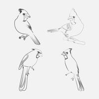 kardinal fågel linje konst illustration vektor