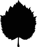 falla löv ikon i platt stil. isolerat på olika fallen löv höst begrepp. lönn träd blad. säsong- Semester tacksägelse hälsning kort. vektor för appar hemsida