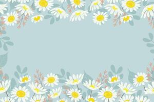 Blume und Blatt Hintergründe Rand Rahmen Weiß Gänseblümchen Kornblume Wiesen Design. Vektor Illustration. Frühling Sommer- Hintergrund.