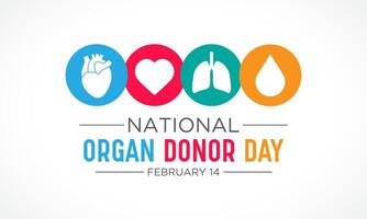 National Organ Spender Tag ist beobachtete jeder Jahr im Februar 14. National Spender Tag. Gesundheit und medizinisch Bewusstsein Vektor Vorlage zum Banner, Karte, Poster und Hintergrund Design. Vektor Illustration.