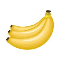 isolierte Bananen Obst vektor