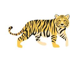 bengalische Tigerkatze