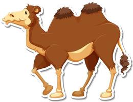 eine Aufklebervorlage von Kamel-Cartoon-Charakter vektor