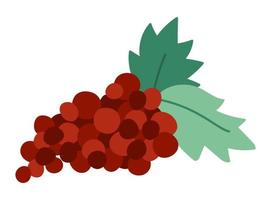Vektor süße Trauben mit Blättern. Herbstfrucht-Symbol. lustige flache Weintraubeillustration lokalisiert auf weißem Hintergrund. Garten oder Bauernhof Ernte Clipart