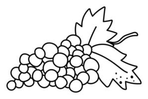 vektor svartvita druvor med blad. höst frukt linje ikon. rolig kontur druvvin illustration isolerad på vit bakgrund. trädgård eller gård skörd clipart