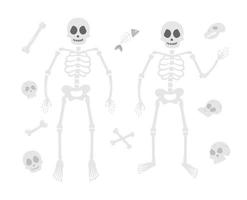 Halloween-Partyillustration mit menschlichen Skeletten. Satz von Vektorschädeln und Knochen. beängstigendes Design für die Herbst-Samhain-Party. Allerheiligen-Elemente-Sammlung. vektor