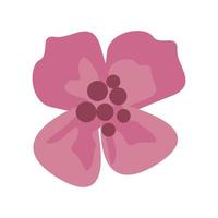 Lotusblume rosa vektor