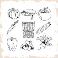 Symbolsammlung für gesundes und biologisches Gemüse vektor