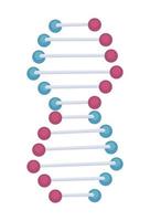 dna molekylstruktur vektor