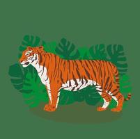 trendiger stehender Tiger in tropischen Blättern von Monstera. flacher Stil vektor