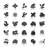 Gewürze Schlagschatten schwarze Glyphe Icons Set. Aromen, Gewürze. Erdnuss, Vanille, Kardamom, Anis, Piment. isolierte vektorillustrationen vektor