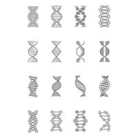 DNA-Helix lineare Symbole gesetzt. Desoxyribonukleinsäure, Nukleinsäurestruktur. Chromosom. Molekularbiologie. genetischer Code. dünne Linienkontursymbole. isolierte Vektorgrafiken. bearbeitbarer Strich vektor