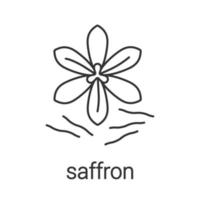 Safran lineares Symbol. dünne Linie Abbildung. Krokus. Kontursymbol. Vektor isolierte Umrisszeichnung