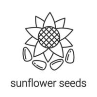 Sonnenblumenkerne lineares Symbol. dünne Linie Abbildung. Kontursymbol. Vektor isolierte Umrisszeichnung