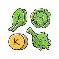 Vitamin K grünes Farbsymbol. essbares Grün und Kohl. gesundes Essen. Mineralien, Antioxidantien natürliche Quelle. richtige Ernährung. isolierte Vektorillustration
