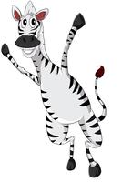 Zebra på vitt