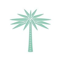 Palme tropisch vektor