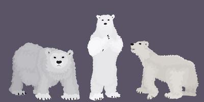 weiße Bären vom Polarkreis. Cartoon-Stil vektor