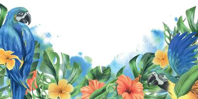 tropisch Palme Blätter, Monstera und Blumen von Plumeria, Hibiskus, hell saftig mit Blau Gelb Ara Papagei. Hand gezeichnet Aquarell botanisch Illustration. Vorlage Rahmen isoliert von das Hintergrund vektor